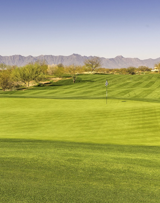 Bring your clubs. And your expectations.